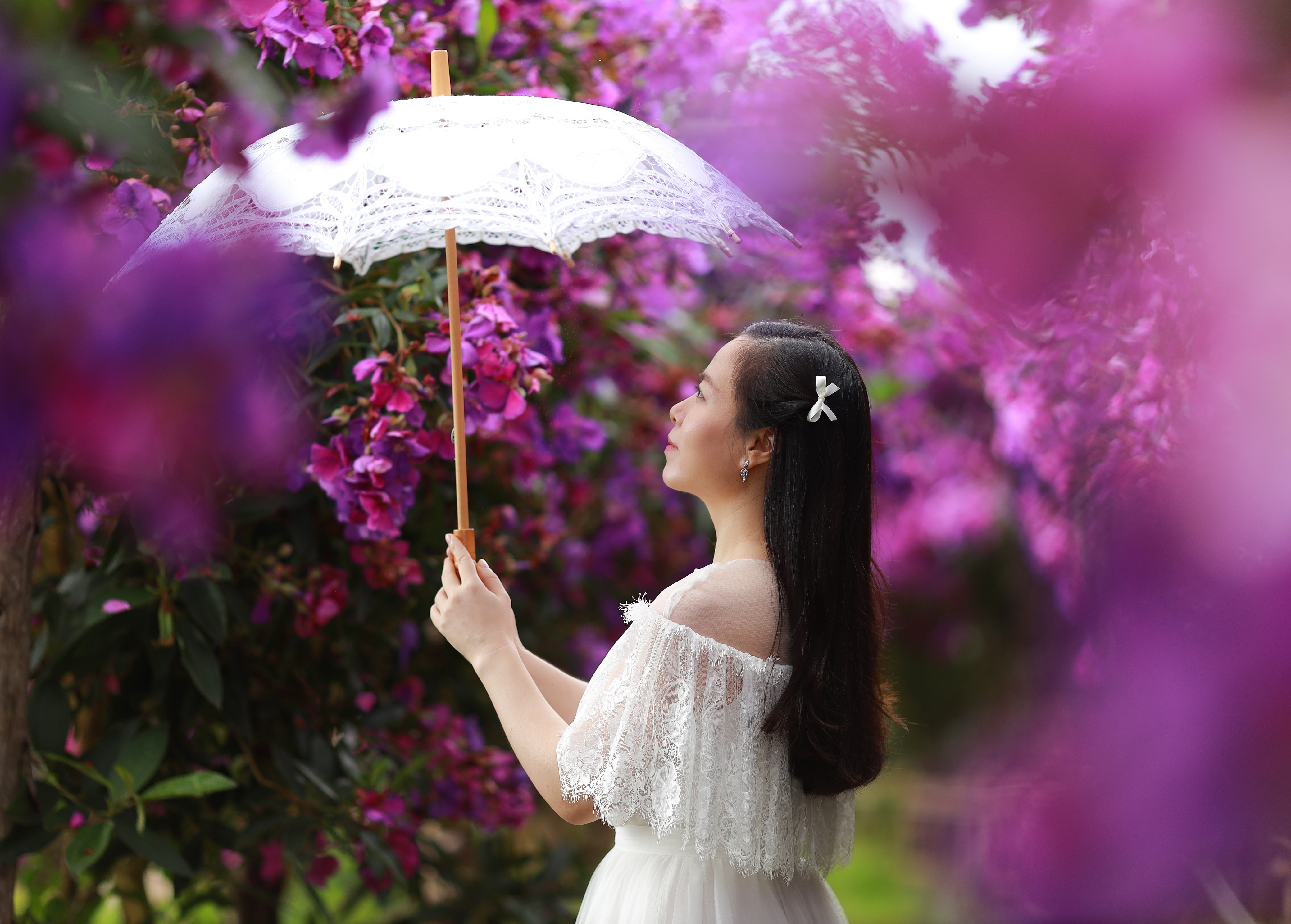 Hoa sim nở trên sườn đồi