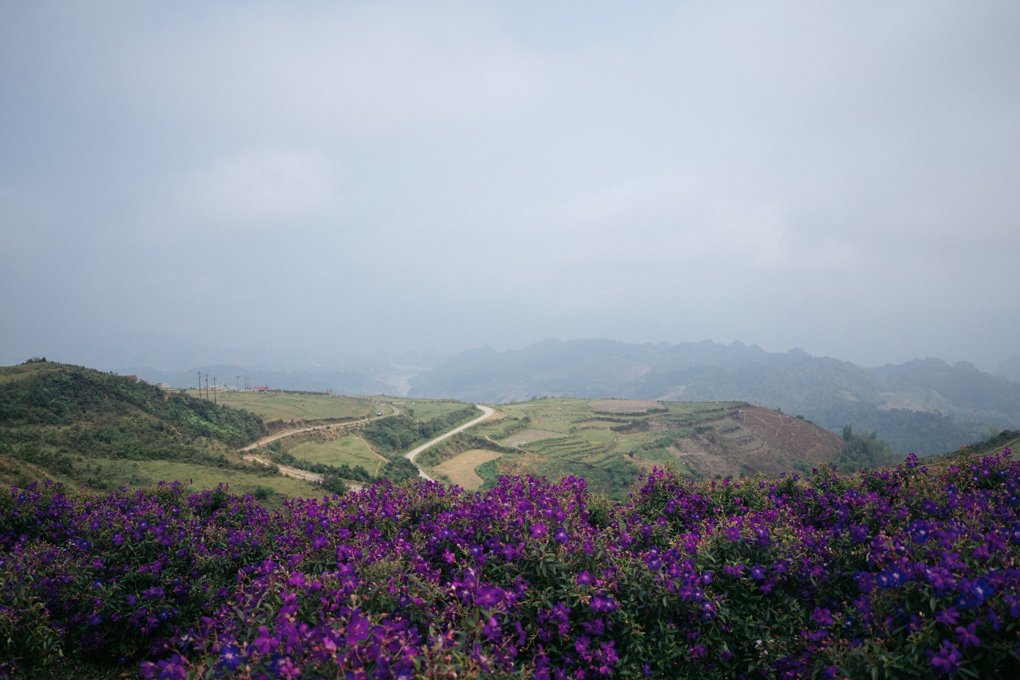 Góc nhỏ bình yên tại The Myrtle